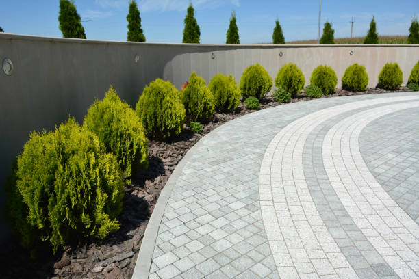 Best Cobblestone Driveway Pavers  in Las Campanas, NM