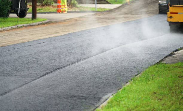 Best Local Driveway Pavers  in Las Campanas, NM